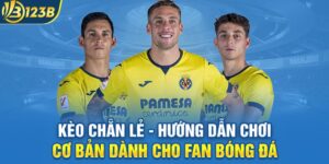 Kèo Chẵn Lẻ - Hướng Dẫn Chơi Cơ Bản Dành Cho Fan Bóng Đá